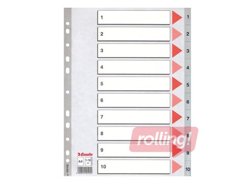 Vahelehed Esselte 1-10, A4, PP, hall
