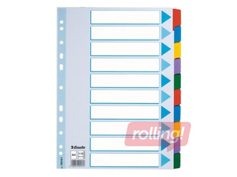 Cardboard divider Esselte, A4, 10 tabs, multicolour