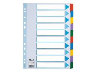Cardboard divider Esselte, A4, 10 tabs, multicolour