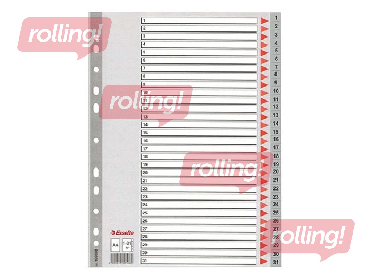 Dokumentu sadalītājs Esselte 1-31, A4, PP, pelēks