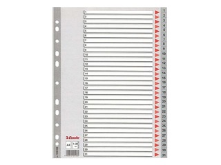 Esselte vahelehed 1-31, A4, PP, hall
