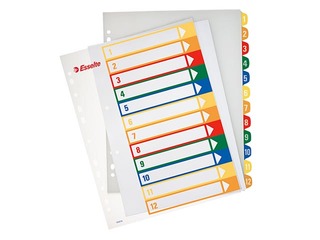Document divider Esselte Project  A4, 1-12, plastic