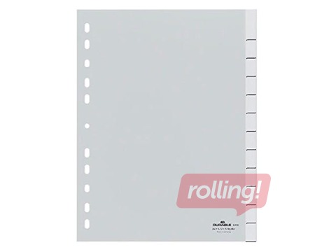 Indexes Durable A4+ with Sealed Tabs and 12 oversized Insert Labels