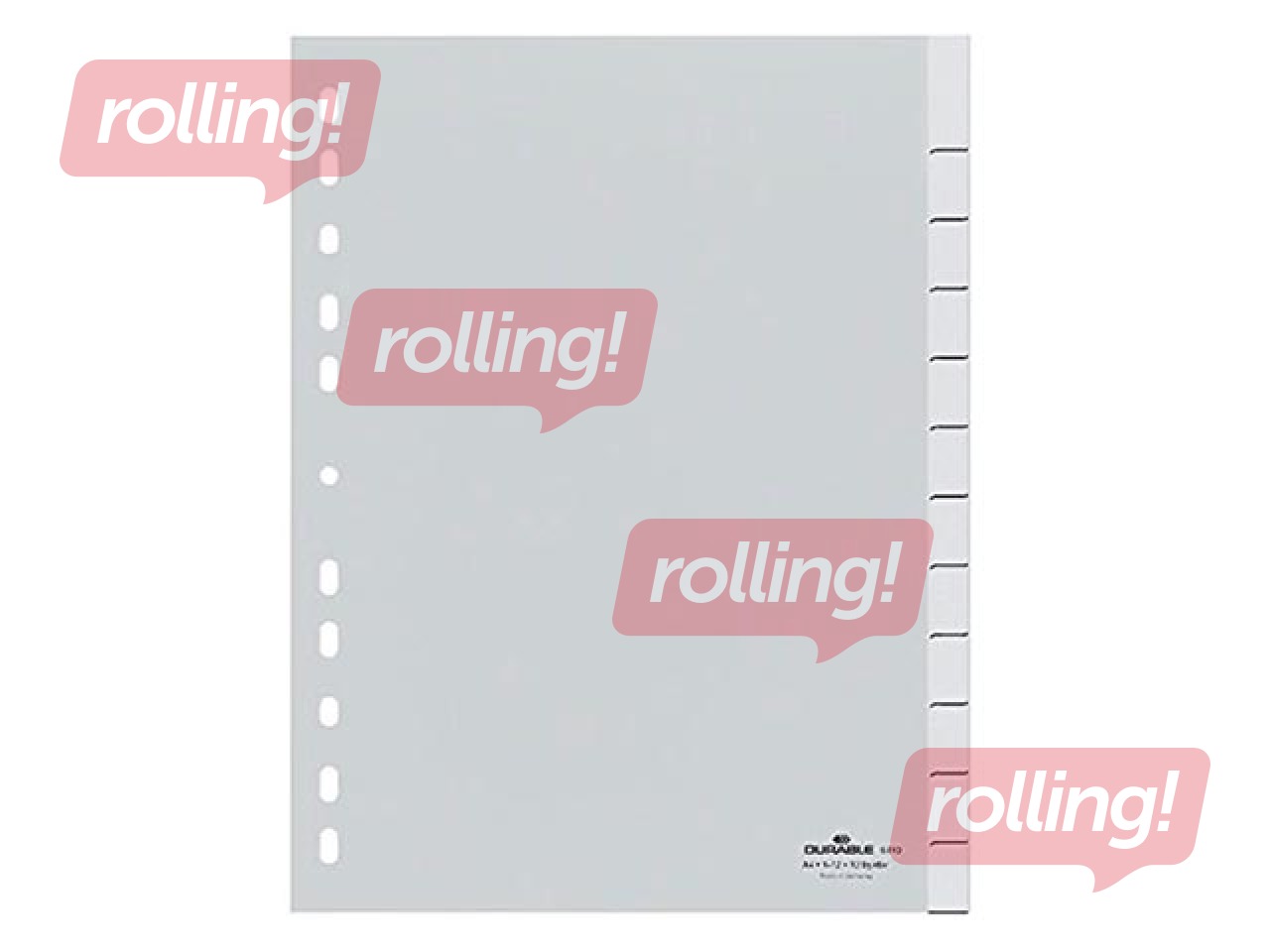 Indexes Durable A4+ with Sealed Tabs and 12 oversized Insert Labels