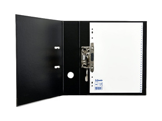 Dokumentu sadalītājs Esselte 1-31, A4, PP, balts