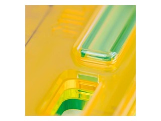 Joonlaud Milan, New Look, roheline, 30cm