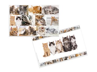 Desk pad with animals motif, 55x35cm