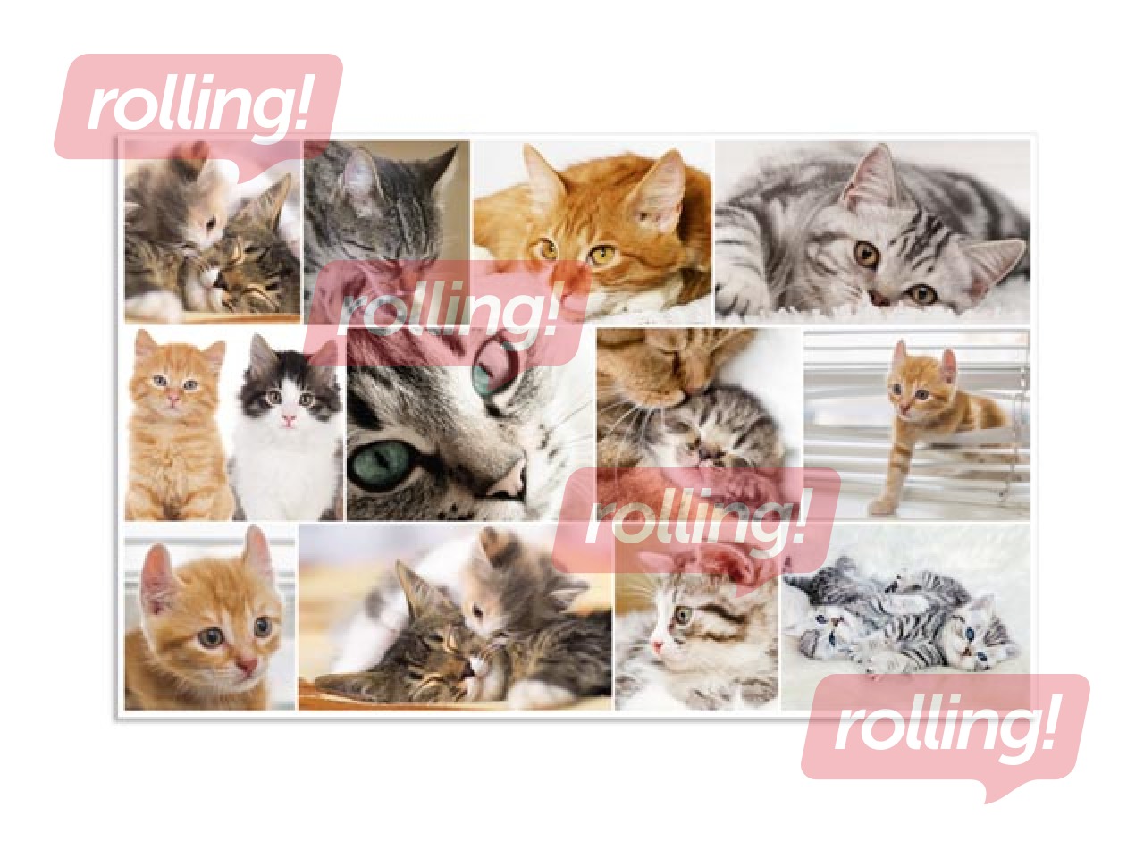 Desk pad with animals motif, 55x35cm