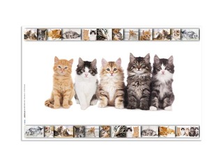 Desk pad with animals motif, 55x35cm