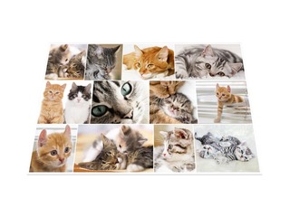 Desk pad with animals motif, 55x35cm