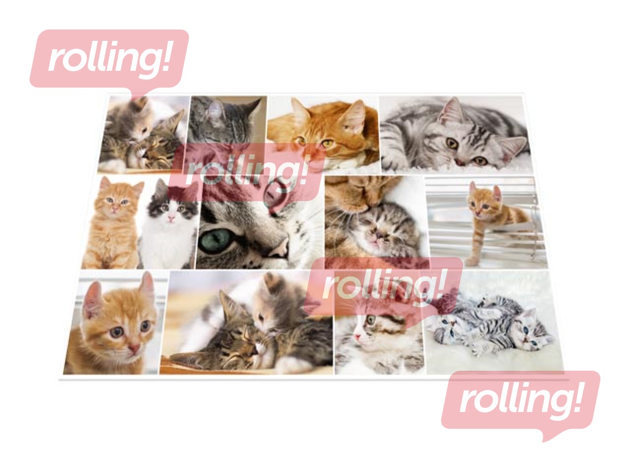 Desk pad with animals motif, 55x35cm