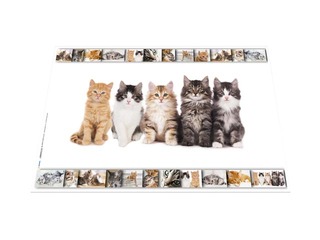 Desk pad with animals motif, 55x35cm