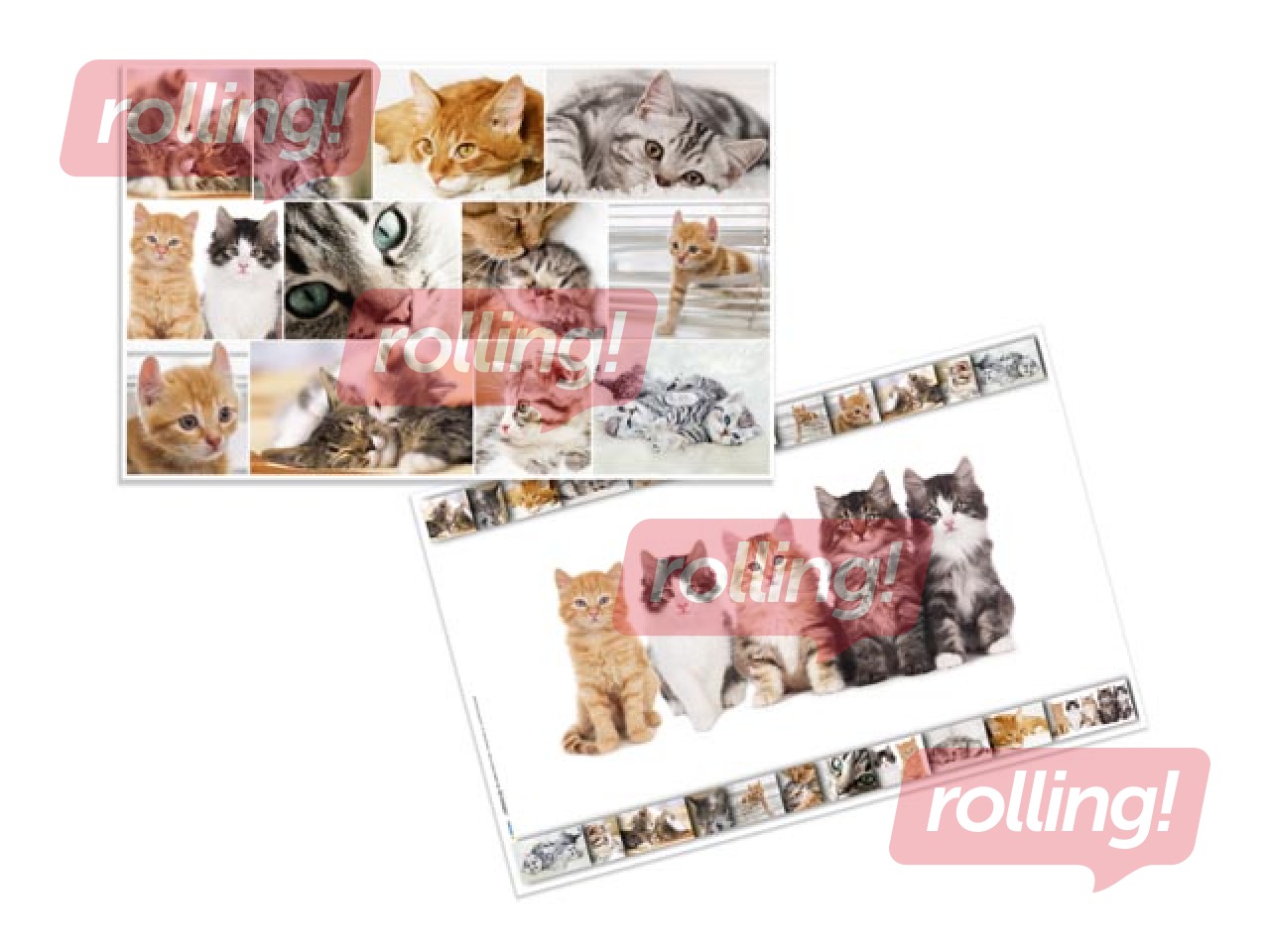 Galda segums ar dzīvnieku attēliem, 55x35cm