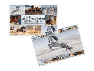 PROMO Lauaalus, loomade motiiviga, 55x35cm