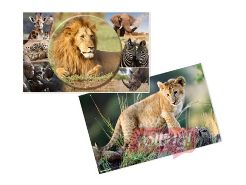 Desk pad with animals motif, 55x35cm