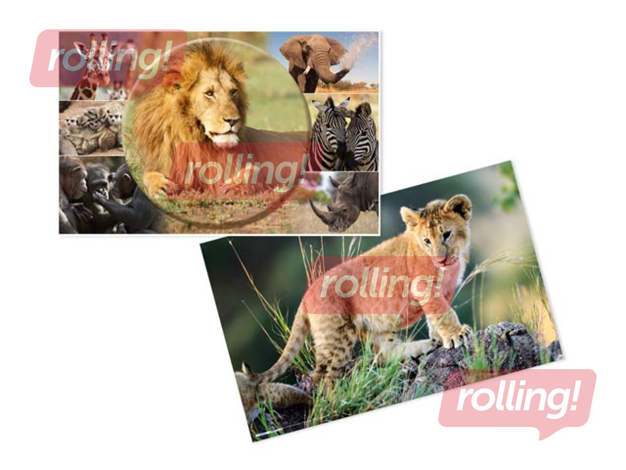 Desk pad with animals motif, 55x35cm