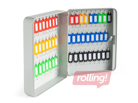 Key cabinet Argo 54, metal, grey