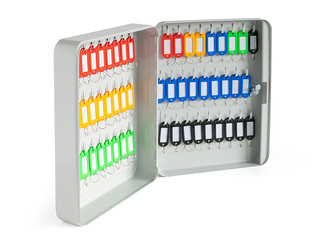 Key cabinet Argo 54, metal, grey