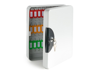 Key cabinet Argo 54, metal, grey