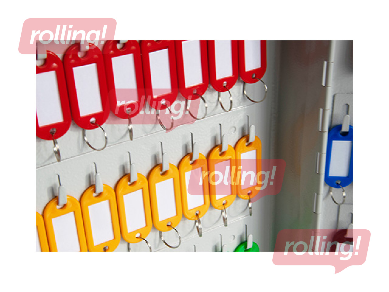 Key cabinet Argo 54, metal, grey