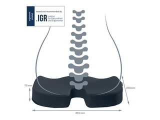 Krēsla paliktnis Leitz Ergo Cosy Cushion, pelēks