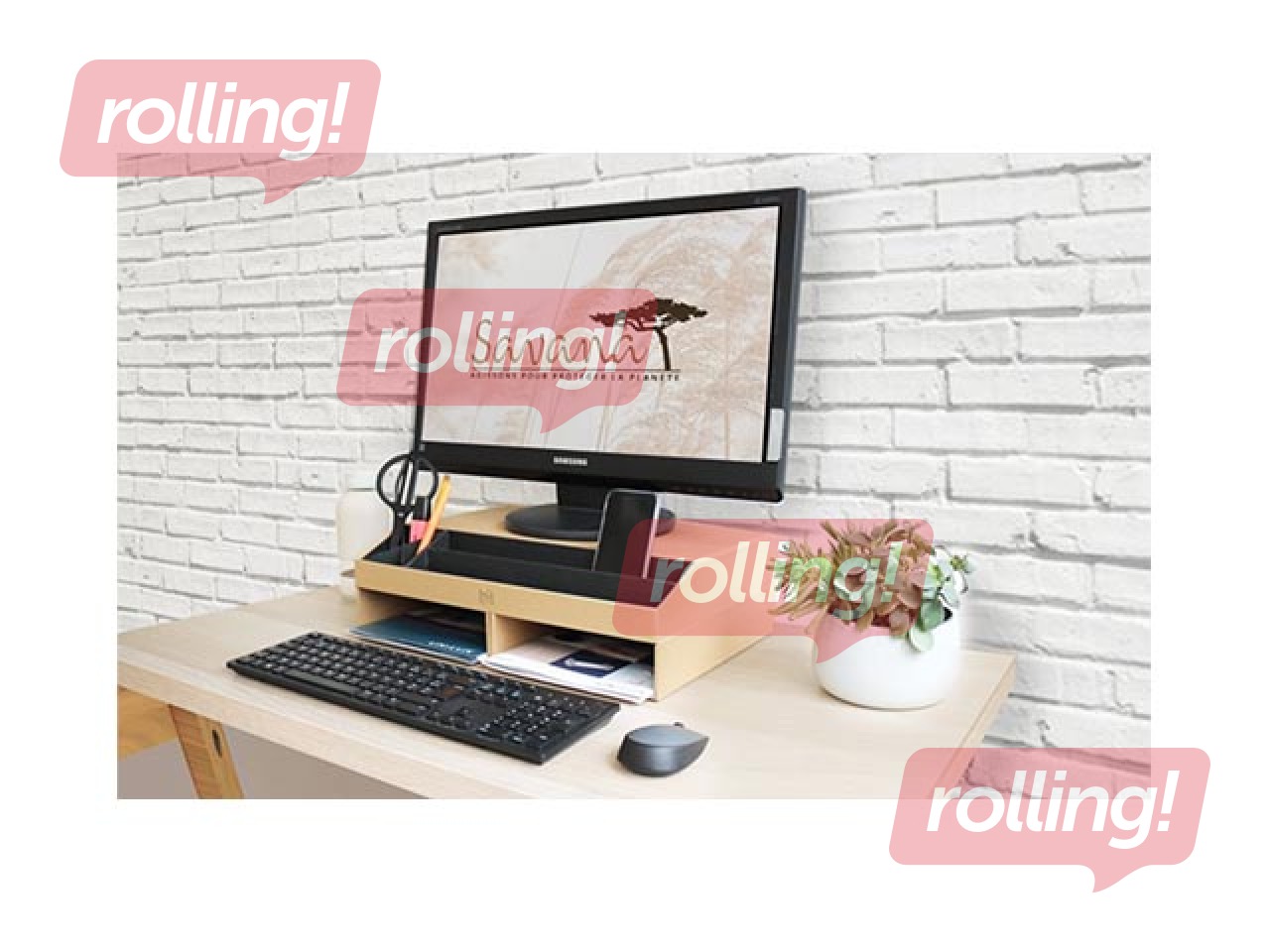 Monitora paliktnis Oxford Savana