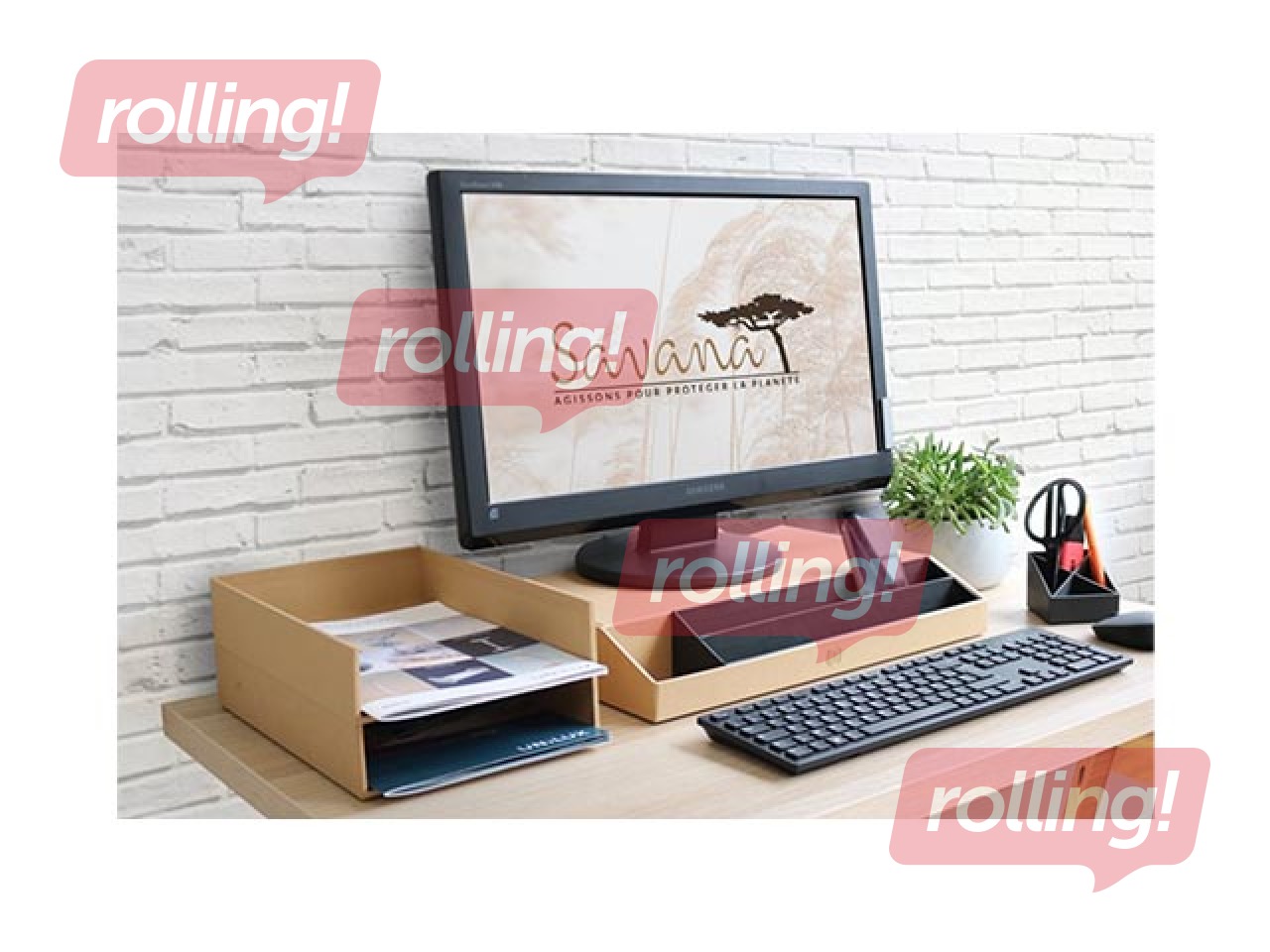 Monitora paliktnis Oxford Savana