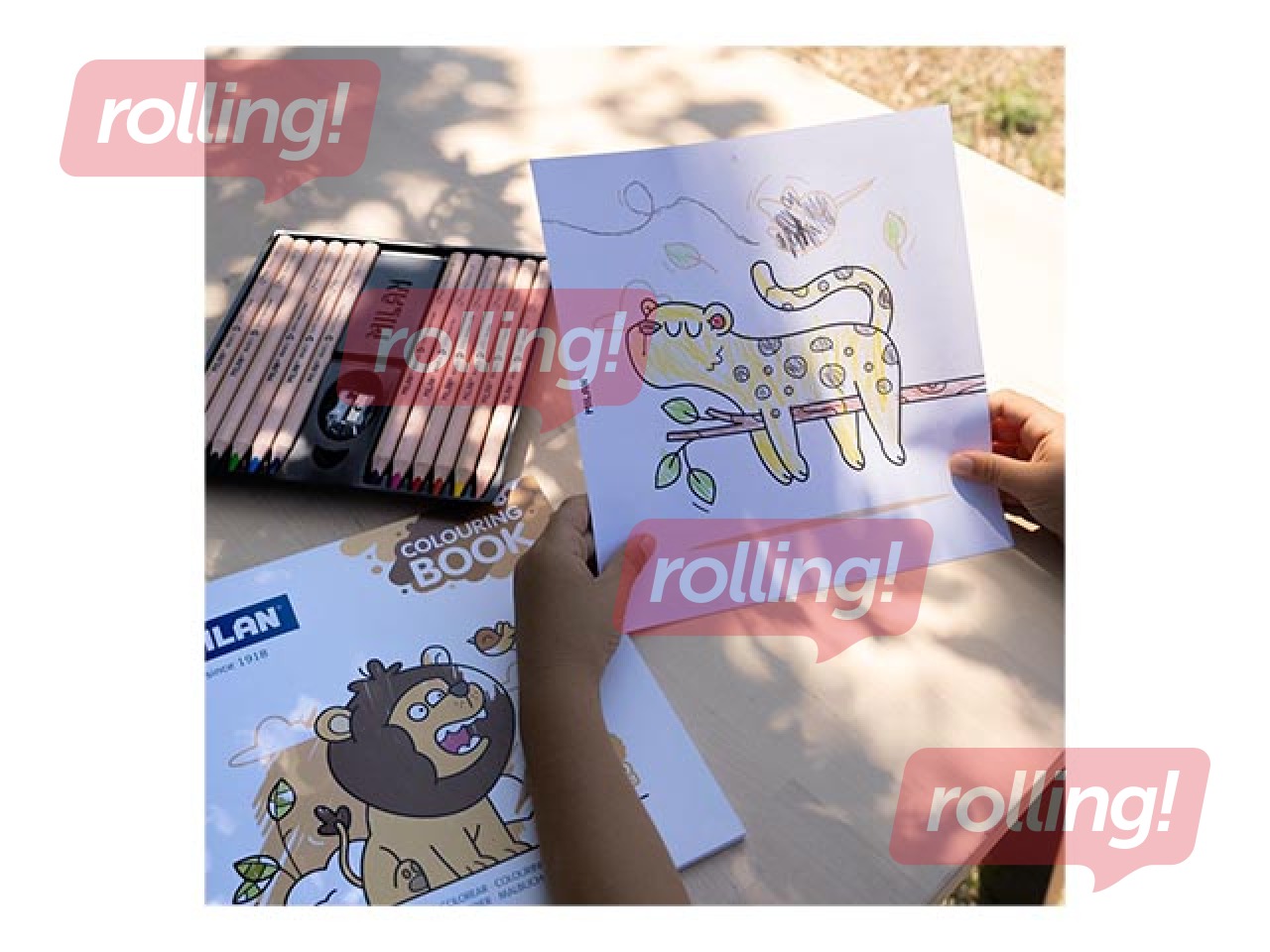 Раскраска Milan Wild safari