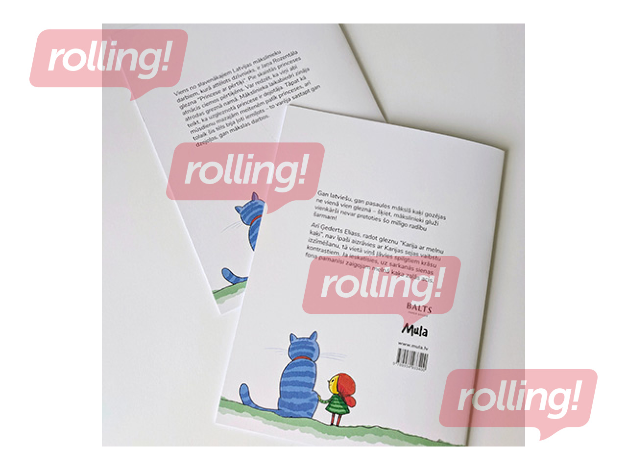 Darba burtnīca Mula, “Princese ar pērtiķi”