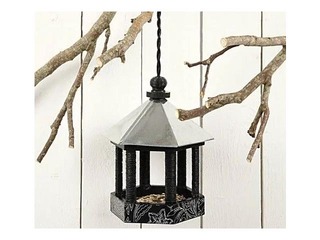 Putnu barotava ar cinka jumtu