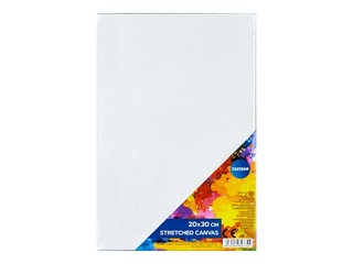 Холст Centrum 20x30см