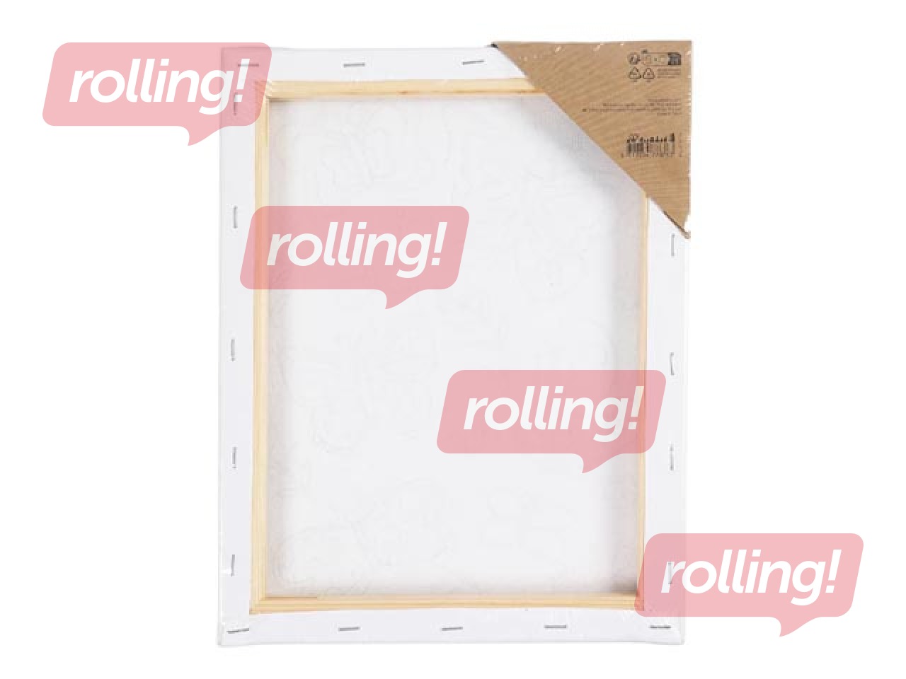 Kanva, Taureņi, 24x30cm