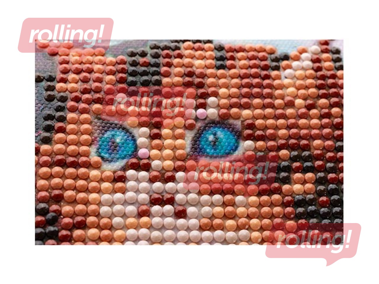 Алмазная мозайка 