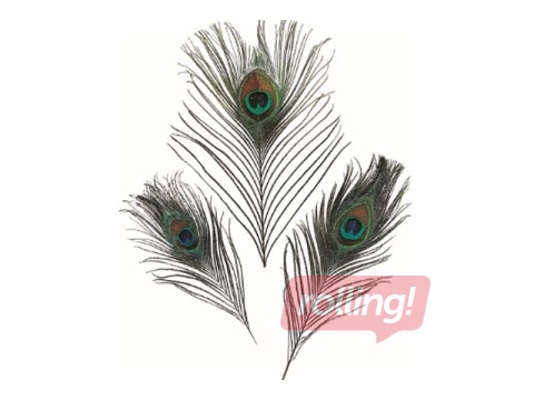 Decorative feathers, peacock, 3 pcs.