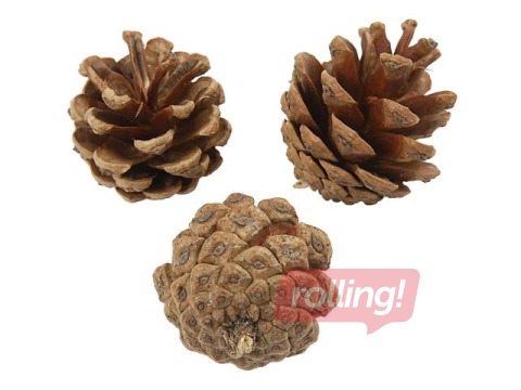 Pine cones, 500g