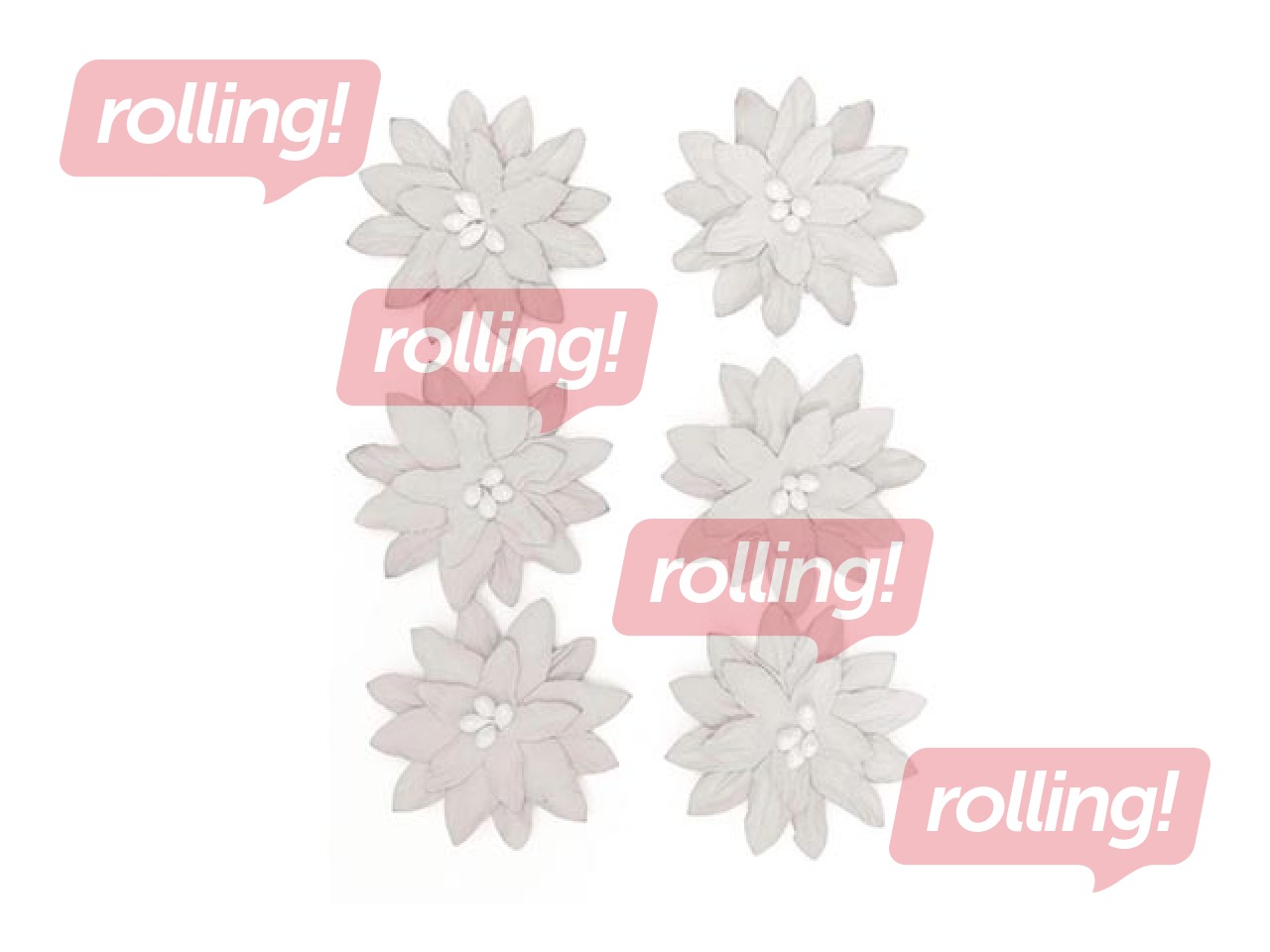 Dekoratīvi ziedi dālijas, baltas, 6 gab.