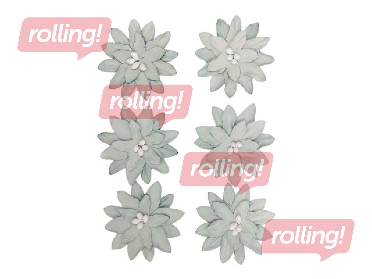 Dekoratīvi ziedi dālijas, pelēkas, 6 gab.