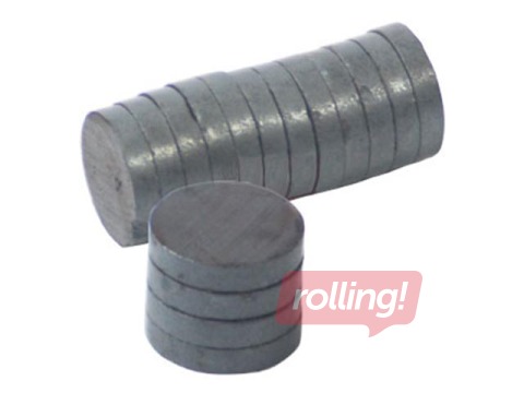 Round magnets Grand 20 mm, 12 psc., uncoated