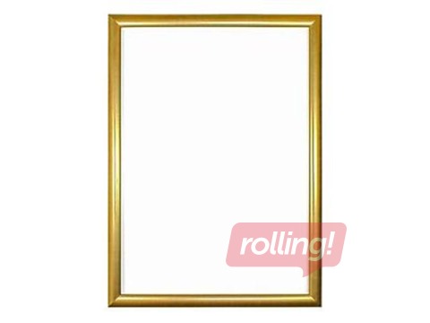 Photo frame, A4, plastic, gold