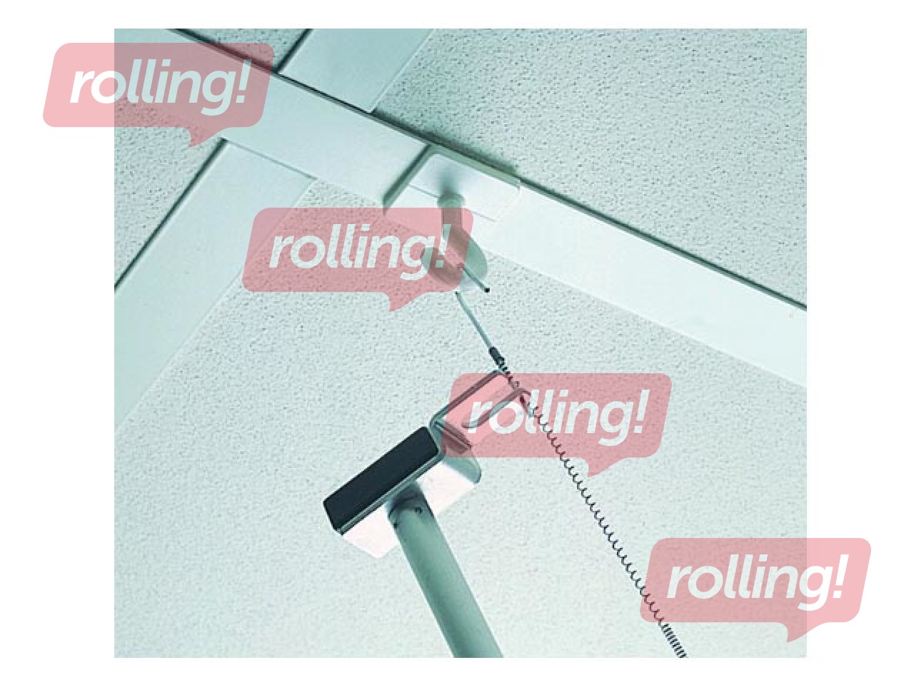 Hook for ceilings