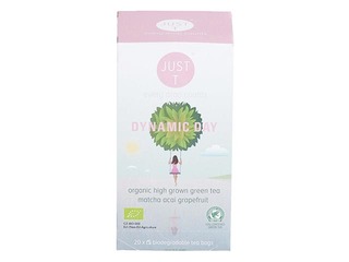 Травяной чай Just-T Dynamic Day Bio 1г x 20