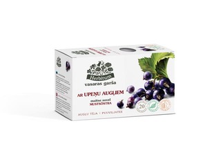 Fruit Tea Herbitum Summer Taste with Blackcurrants, 20 bags