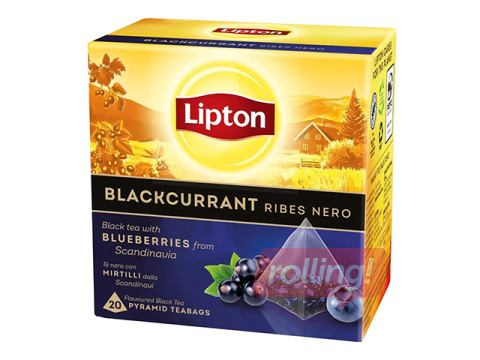 Black tea Lipton with blackcurrant, pyramid, 20 pcs