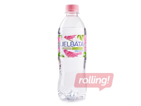 Spring water Lielbata, still, PET, 500ml