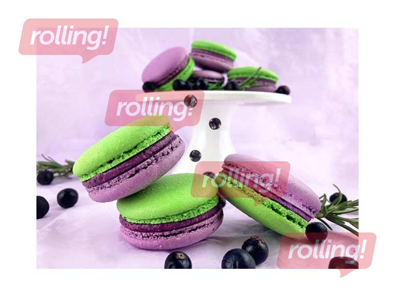Macaroons Sala, blackcurrant, 6 pcs.
