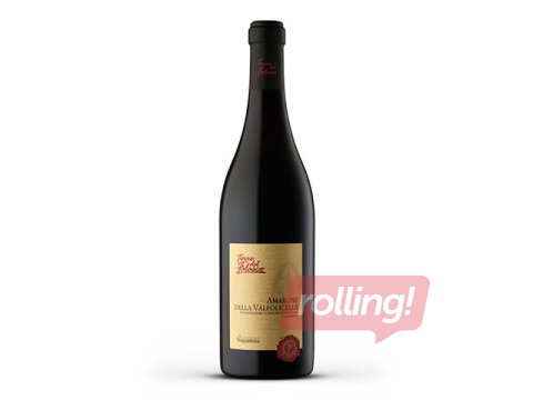 Sarkanvīns Torre del Falasco Amarone della Valpolicella DOC, 15.4%, 750ml