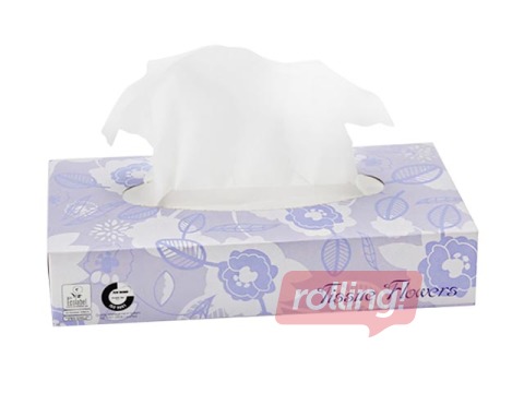 Kosmētiskās salvetes Celtex Tissue Flowers, 2 kārtas, 100 gab.