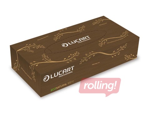 Kosmētiskās salvetes Lucart EcoNatural V, gaiši brūnas, 2 kārtas, 100 gab.