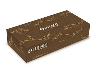 Салфетки косметические Lucart EcoNatural V, 100 шт.