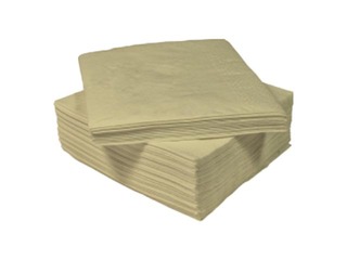 Salvetes Lenek, šampanieša, 2 slāņi, 24x24cm, 200 gab.